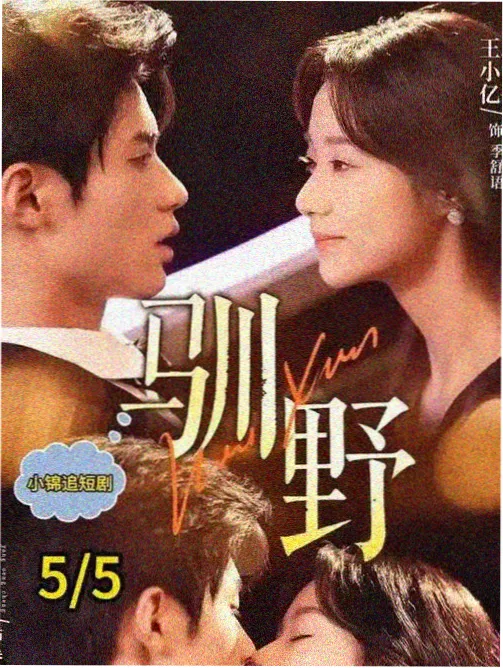 彩蛋插图：幕布上的最后一行字幕